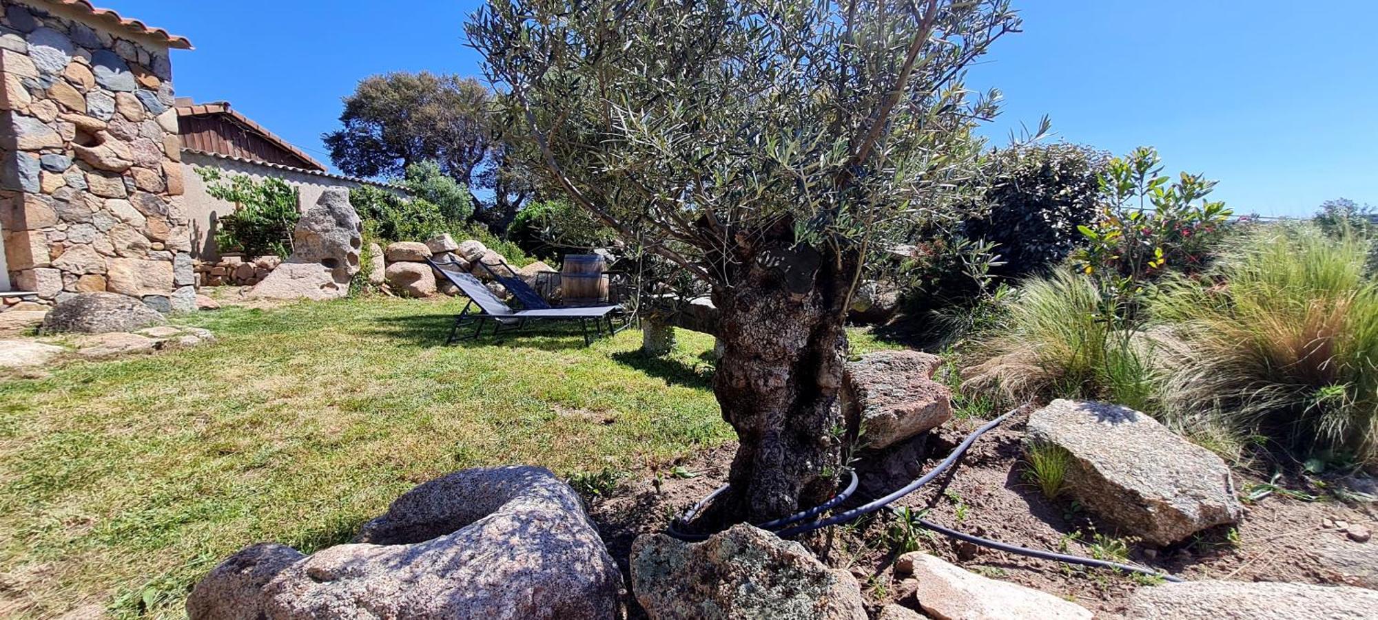 Holiday home Bergerie A Sapara